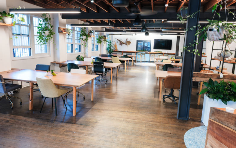 137-141 Bridge Road, Glebe Image 1