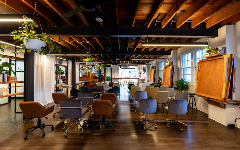 137-141 Bridge Road, Glebe Image 3