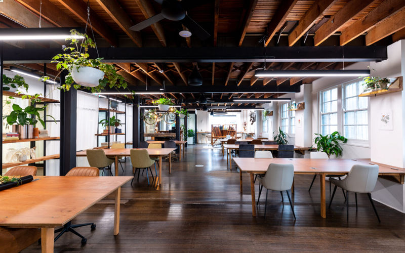 137-141 Bridge Road, Glebe Image 5