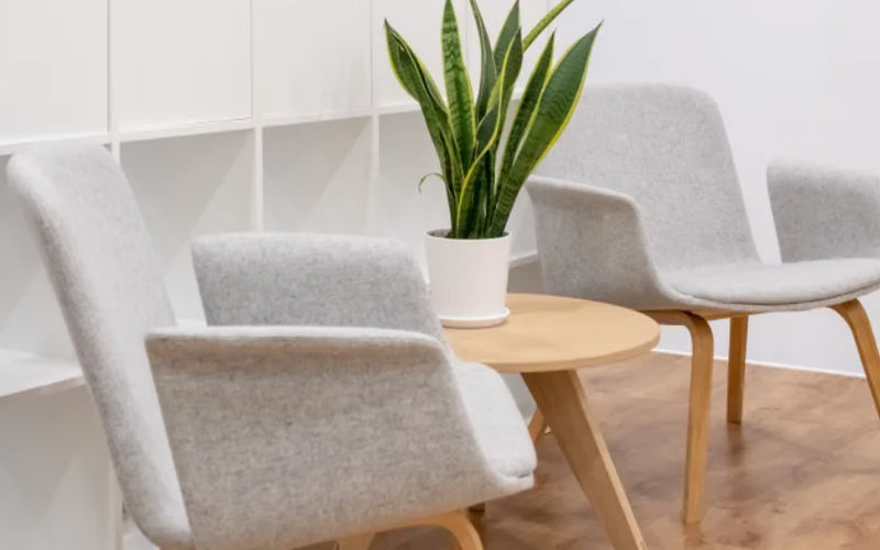 44 Abele Rd, Bridgeville Image 2