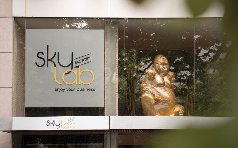 485 Av Louise, Brussels Image 9