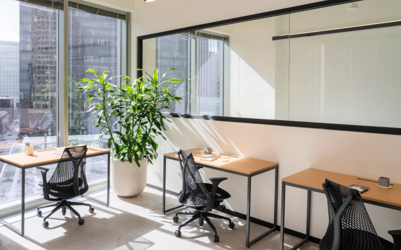 356 Wythe, Brooklyn Image 4