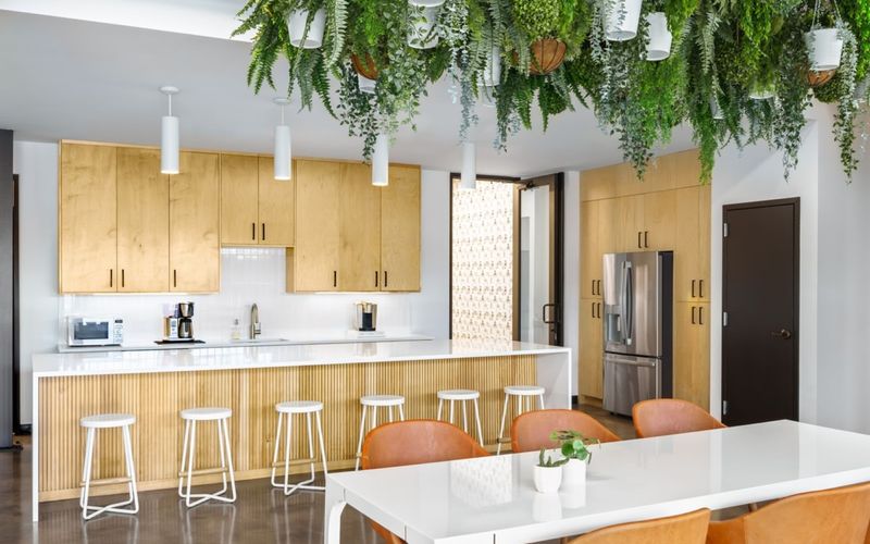 1201 E Cesar Chavez St, Austin Image 1