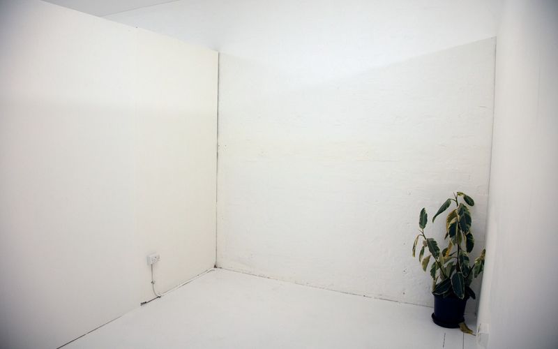 189B St Johns Road, Forest Lodge Image 4