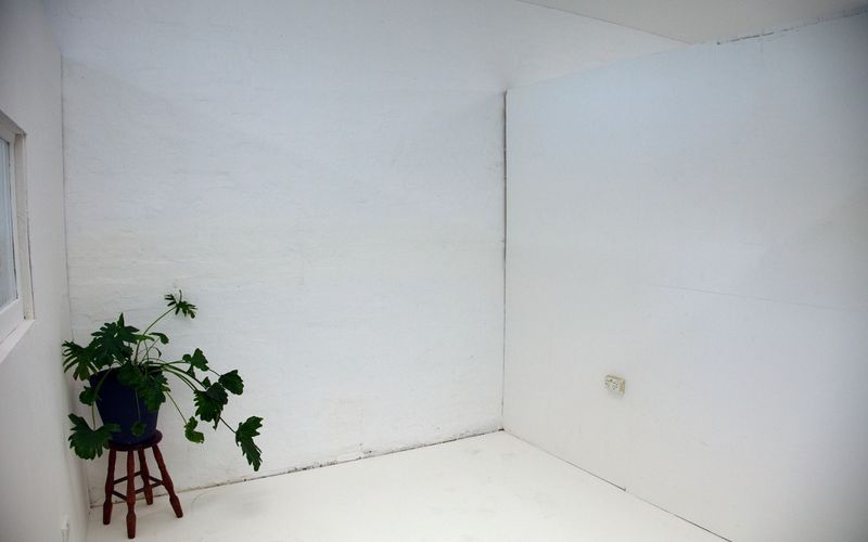 189B St Johns Road, Forest Lodge Image 9