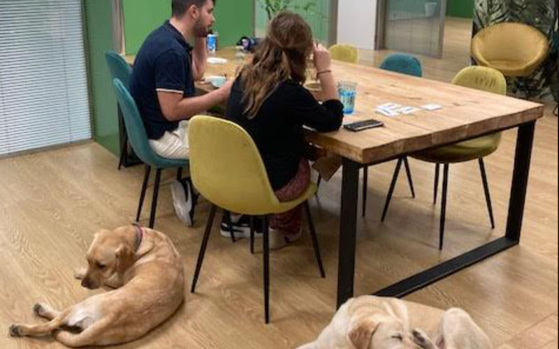 453bis Avinguda Diagonal, Barcelona Image 2