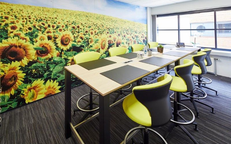 198 Ninovesteenweg, Aalst Image 5