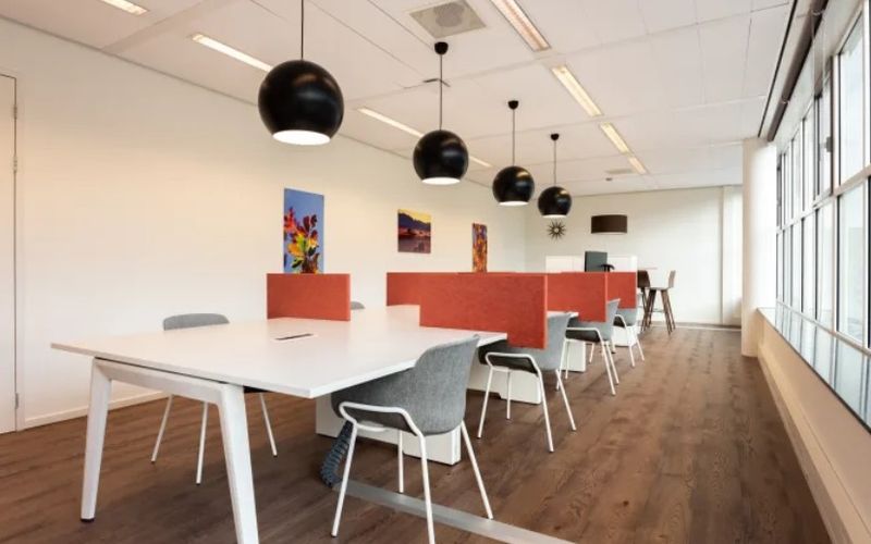 29399 Us Highway 19 N, Clearwater Image 2