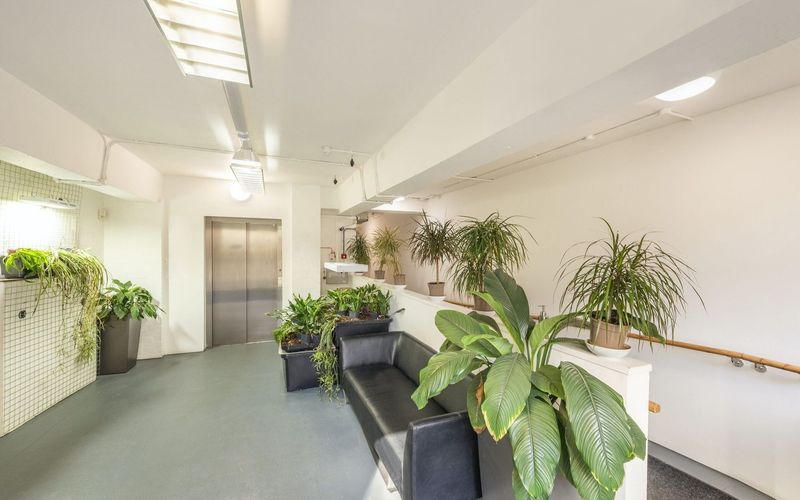 Dog & Duck Yard Princeton Street, Bloomsbury Image 9