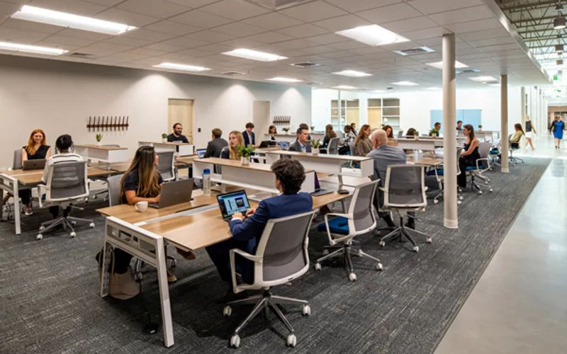 25 Goldsmith St, Greenville Image 3