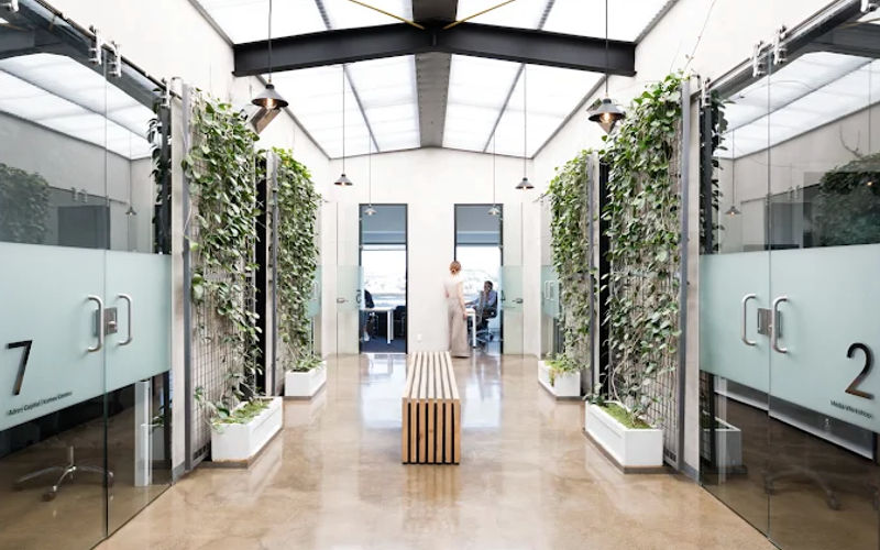 206 Jervois Road, Herne Bay Image 5