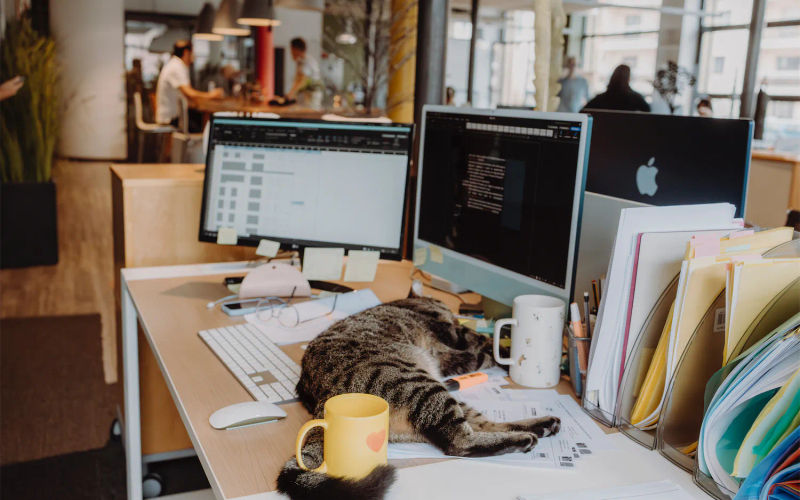 12 Avenue Du Rhône, Annecy Image 11