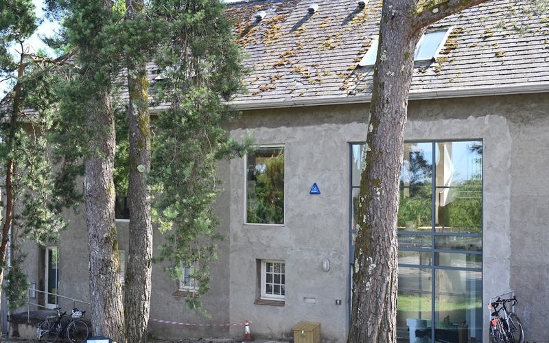 N/a Dartington, Dartington Hall Image 10