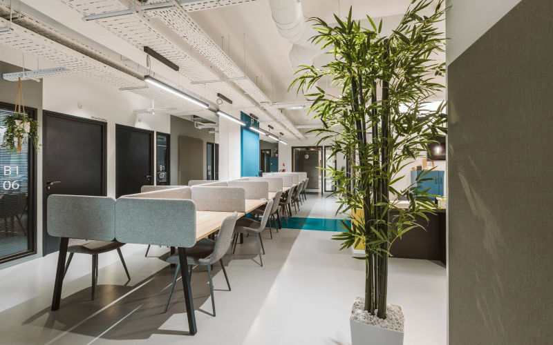 17 Avenue Albert Ii, Rue De La Lüjerneta Image 6