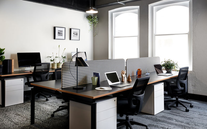 822 George Street, Chippendale Image 3