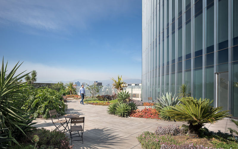 20 Av Insurgentes Sur, Roma Norte Image 2