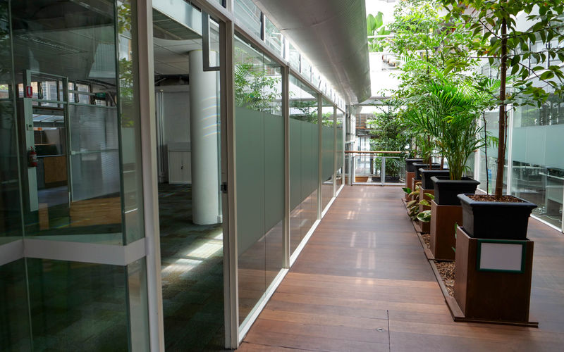 60 Leicester Street, Carlton Image 13