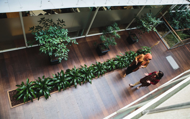 60 Leicester Street, Carlton Image 14