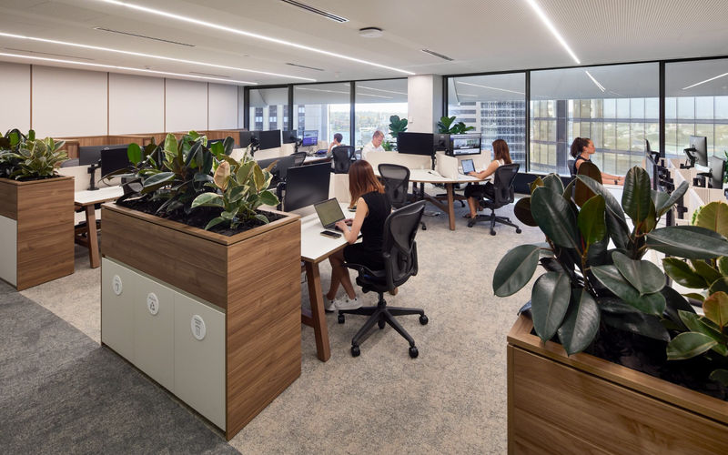 225 George Street, Sydney Image 6