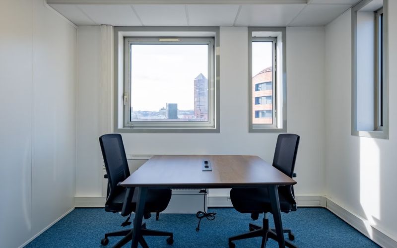 27 Rue Maurice Flandin, Lyon Image 3