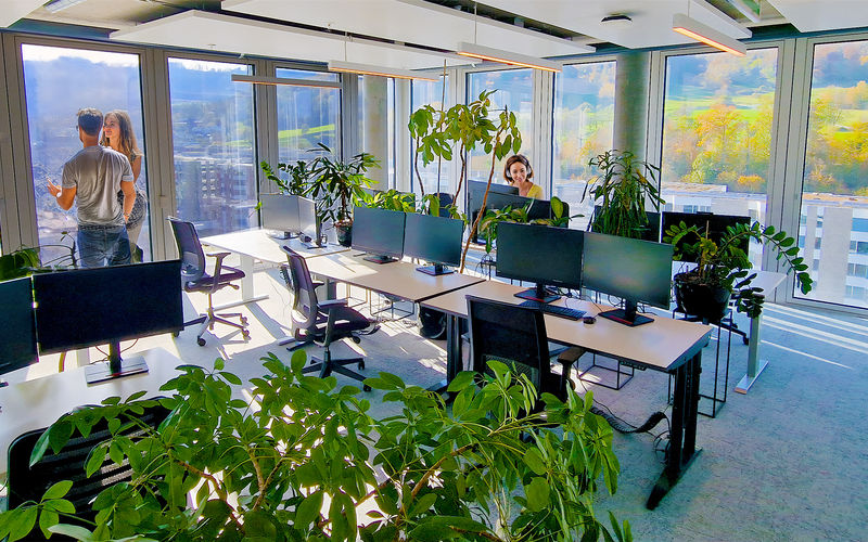 17 Maneggstrasse, Zürich Image 1