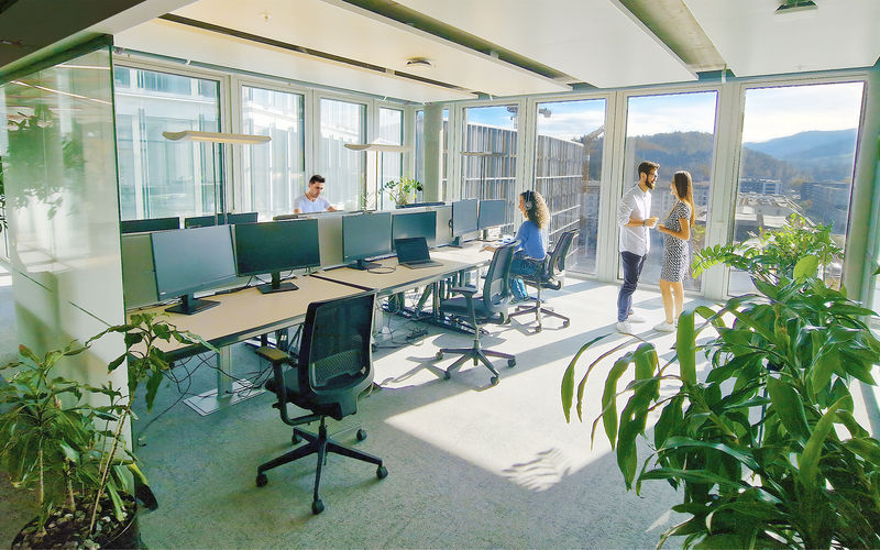 17 Maneggstrasse, Zürich Image 2