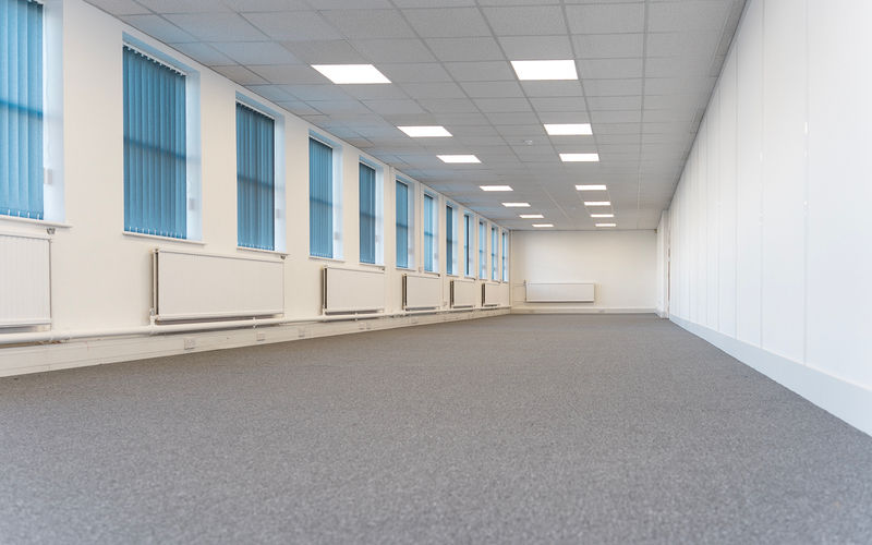 Castlemill, Burnt Tree Image 2