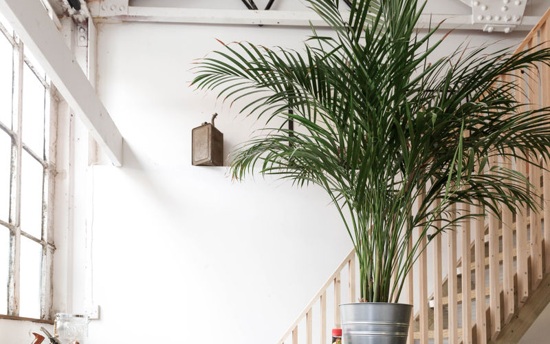 5 Argall Avenue, Greater London Image 7