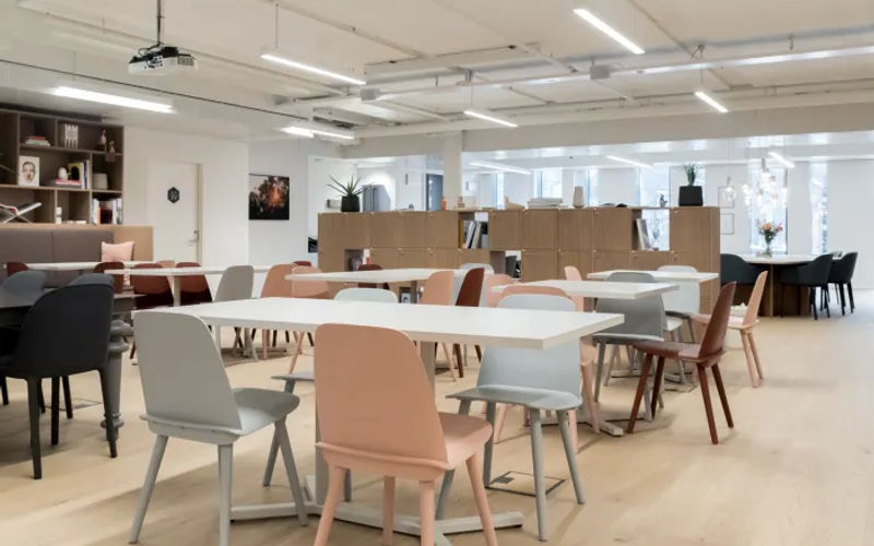 35 C 3 Gulberg 3, Lahore Image 12