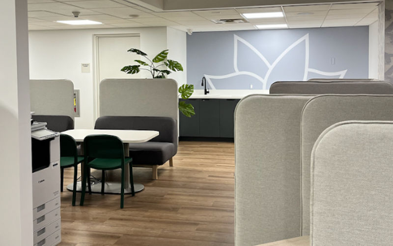 950 Franklin Ave, Garden City Image 7