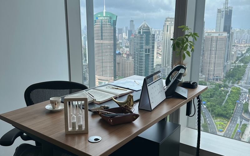 8 Century Avenue, Pudong Image 2