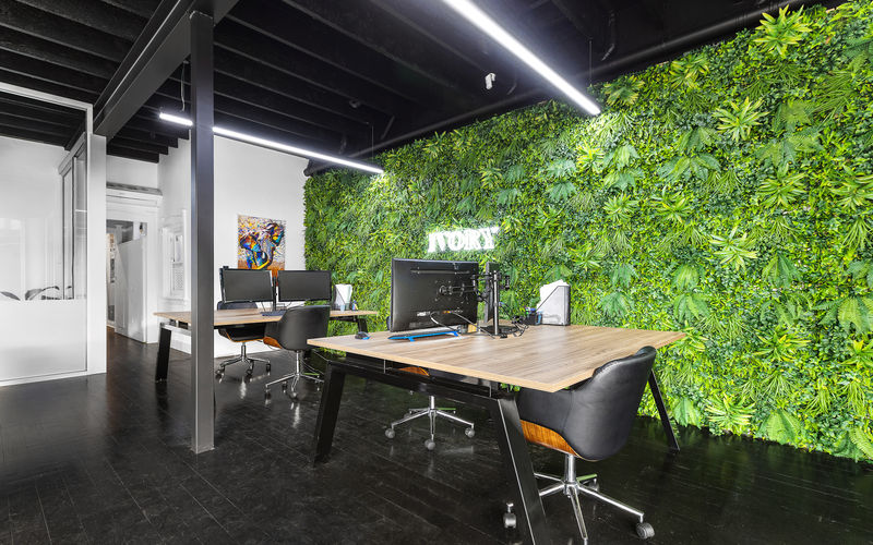 323 Concord Road, Concord West Image 6