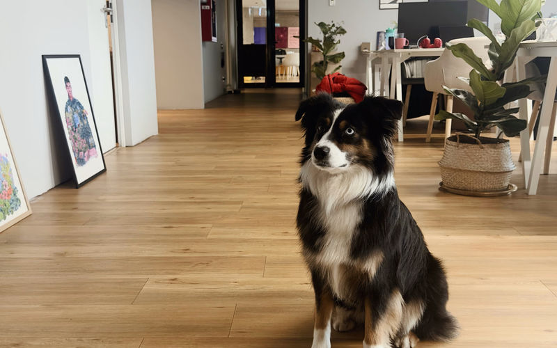 5 Str D I Mendeleev, București Image 1