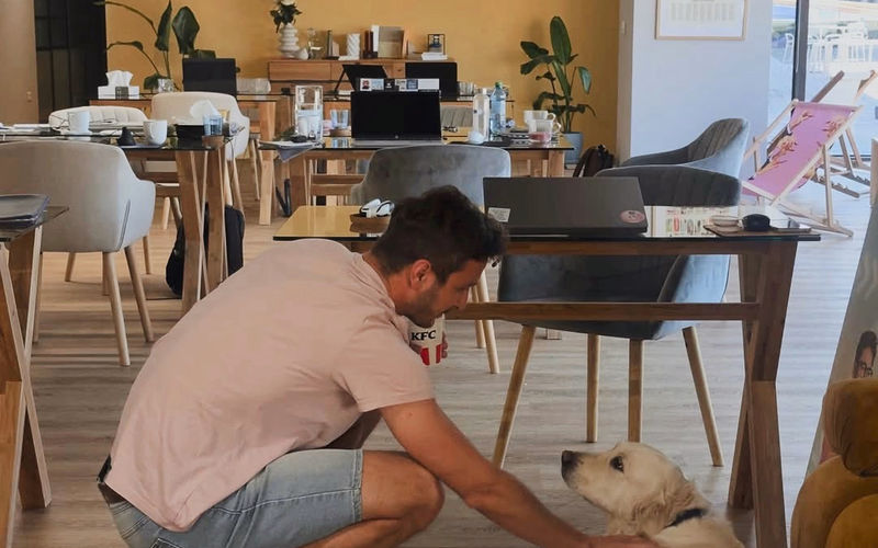 Strada Palas 7e, Iași Image 8