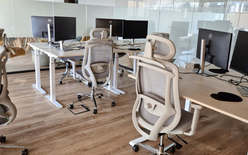 Strada Palas 7e, Iași Image 6