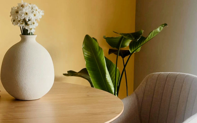 Strada Palas 7e, Iași Image 4