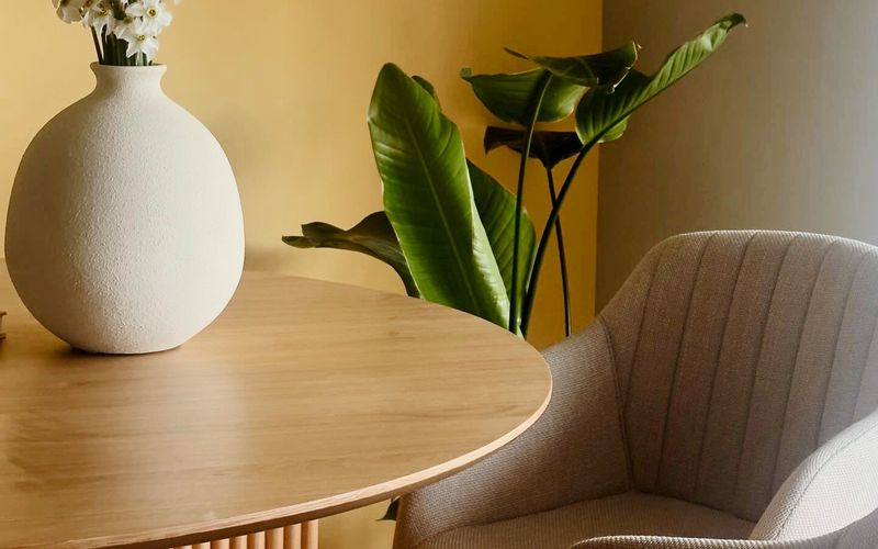 Strada Palas 7e, Iași Image 8