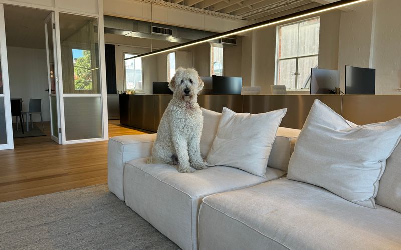 387 Clarendon Street, South Melbourne Image 6