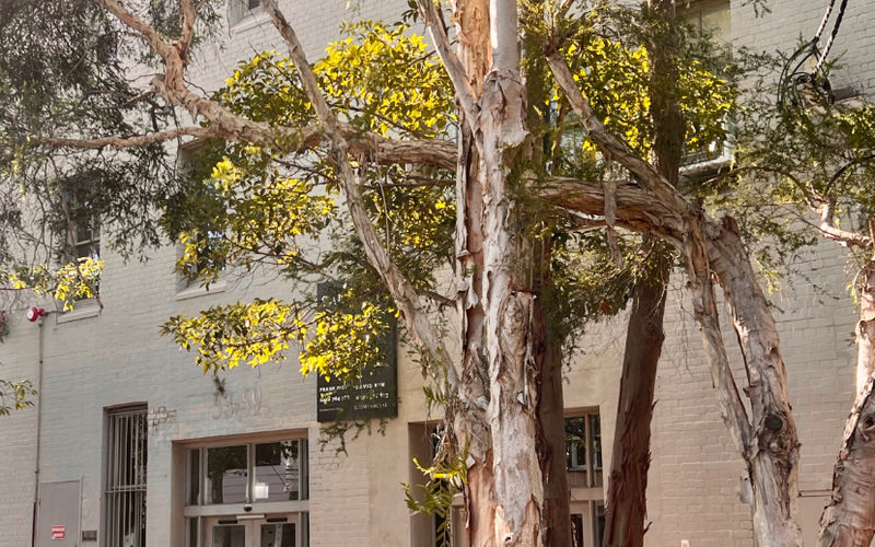 53 Great Buckingham Street, Redfern, 10 DESKS 53 Great Buckingham Street, Redfern Image 1