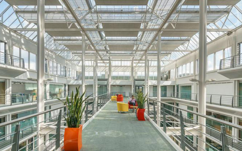 Basing Way, Hampshire Image 7