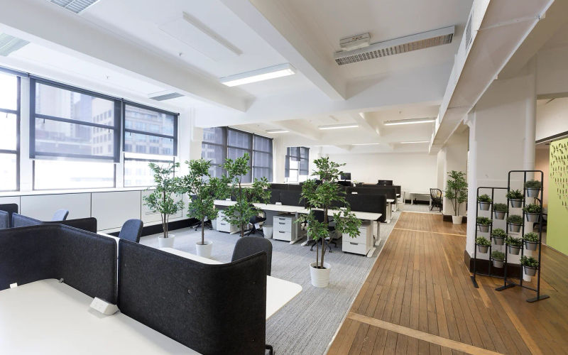 11 York Street, Sydney Image 1