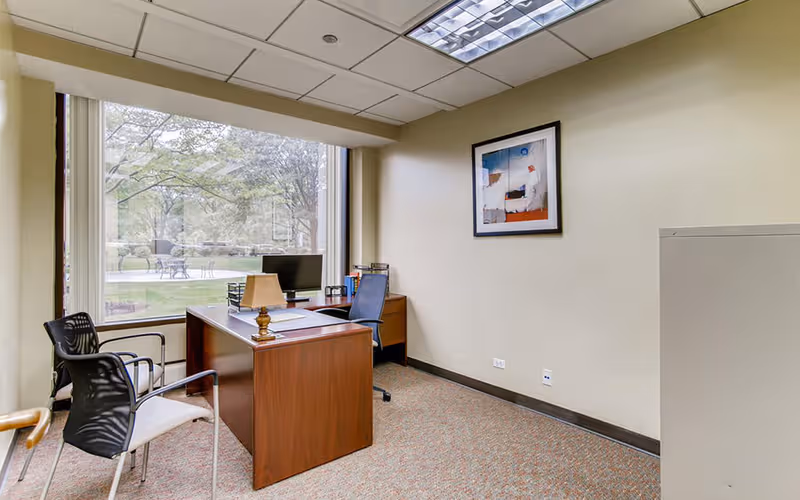 8745 W Higgins Road, Chicago image 1