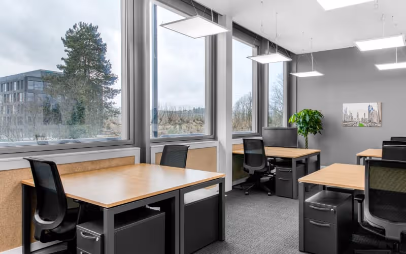 150 Rue Du Nant D'avril, Meyrin, 50 DESKS 150 Rue Du Nant D'avril, Meyrin image 1