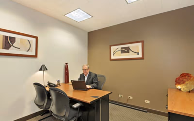980 North Michigan Avenue One, Chicago, 50 DESKS 980 North Michigan Avenue One, Chicago image 1