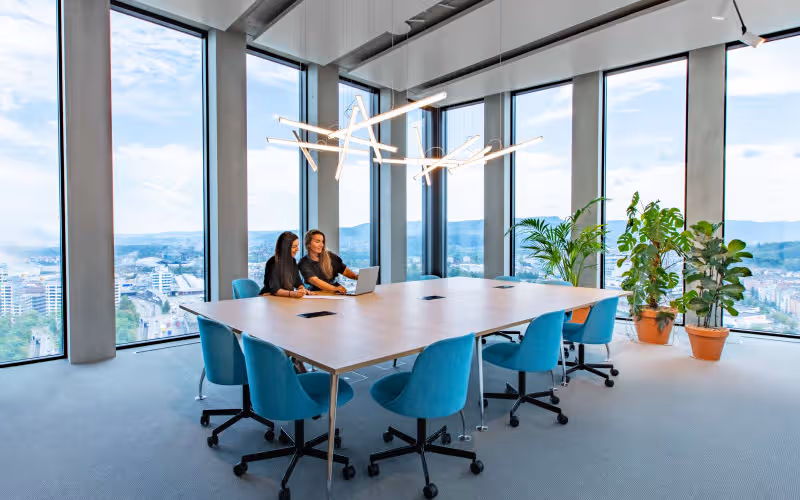 29 Grosspeteranlage, Basel, 50 DESKS 29 Grosspeteranlage, Basel image 1