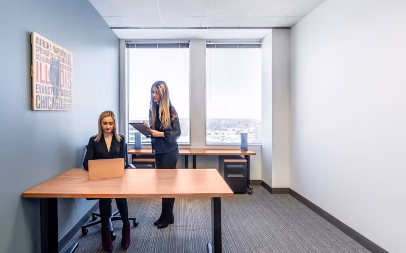 8770 West Bryn Mawr Ave, Chicago, 50 DESKS 8770 West Bryn Mawr Ave, Chicago image 1