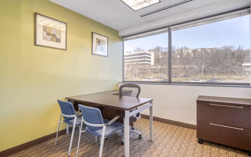201 International Circle, Hunt Valley, 50 DESKS 201 International Circle, Hunt Valley image 1