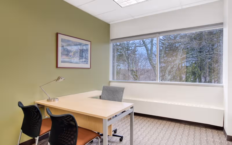 411 Theodore Fremd Avenue, RYE, 50 DESKS 411 Theodore Fremd Avenue, RYE image 1