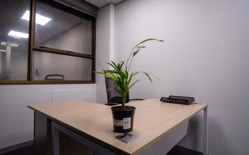 138 Kelvin Drive, Morningside, 11 DESKS 138 Kelvin Drive, Morningside image 1
