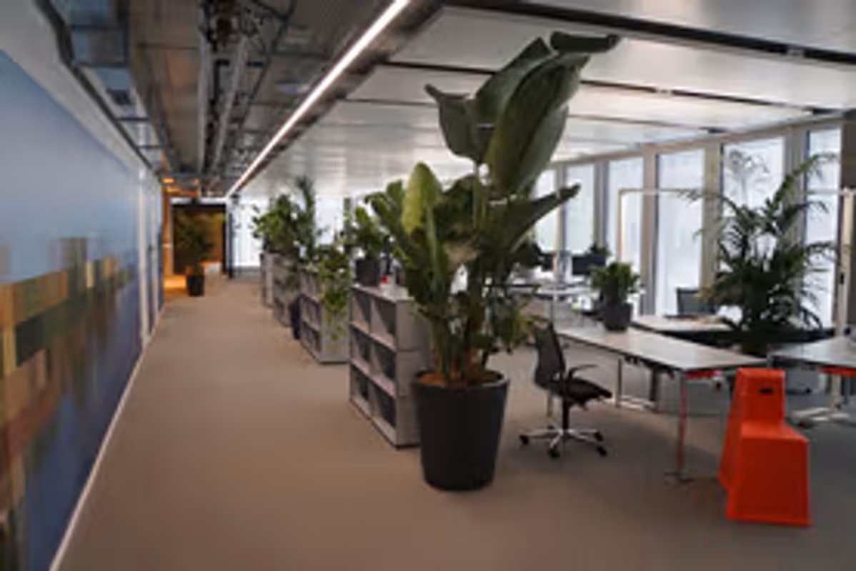 Workspace background